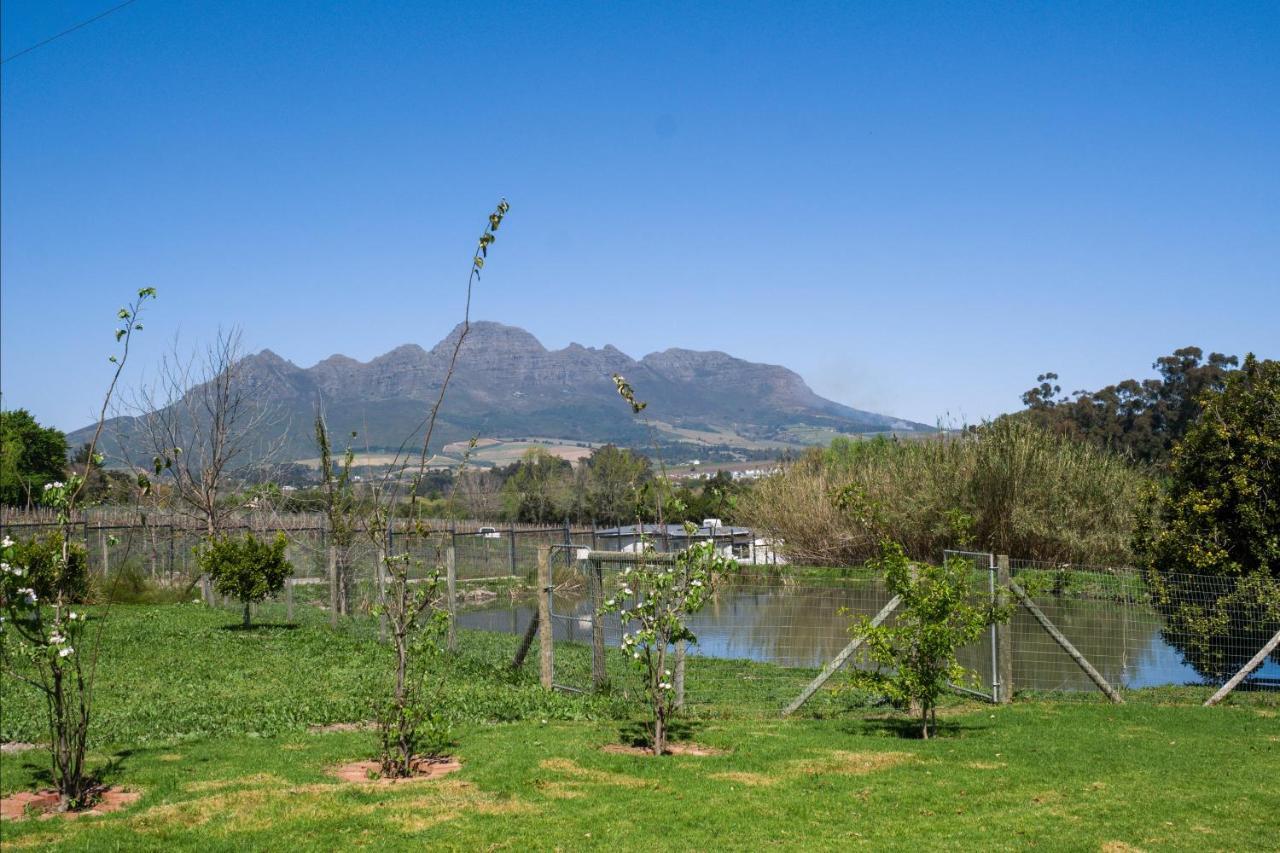 Sunset Farm Stellenbosch Villa Luaran gambar